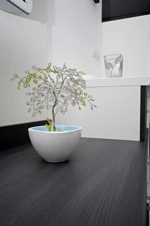 Aries Apartments ビトラ 部屋 写真