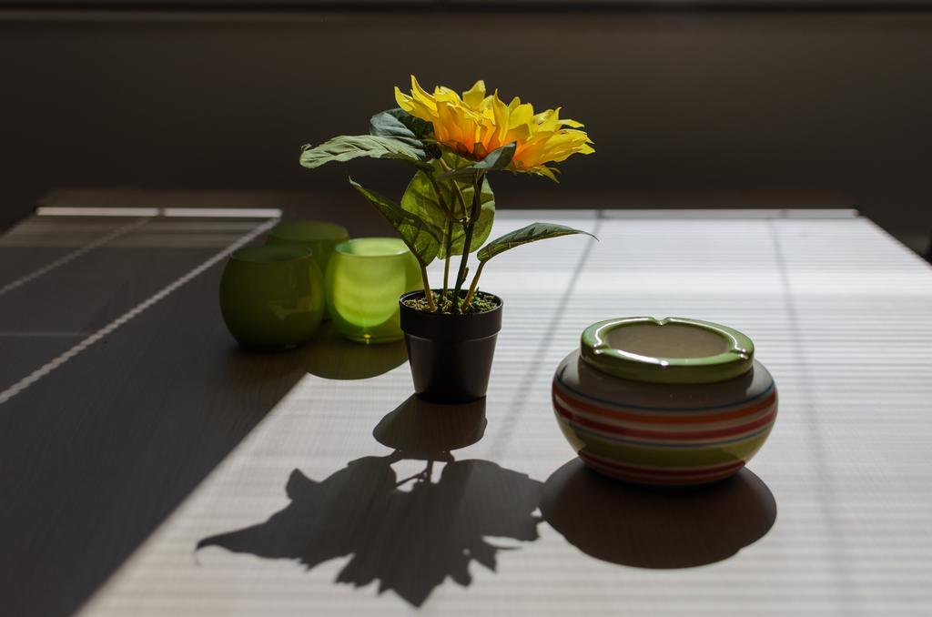 Aries Apartments ビトラ エクステリア 写真